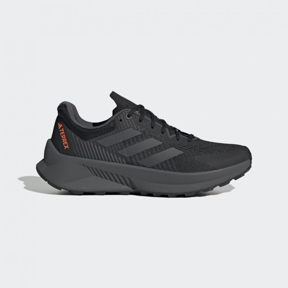 adidas Terrex Terrex Soulstride F