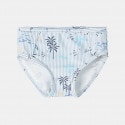 name-it-nmmzilas-swim-brief-box