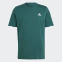 adidas sportswear Essentials Single Jersey Embroidered Small Logo Te