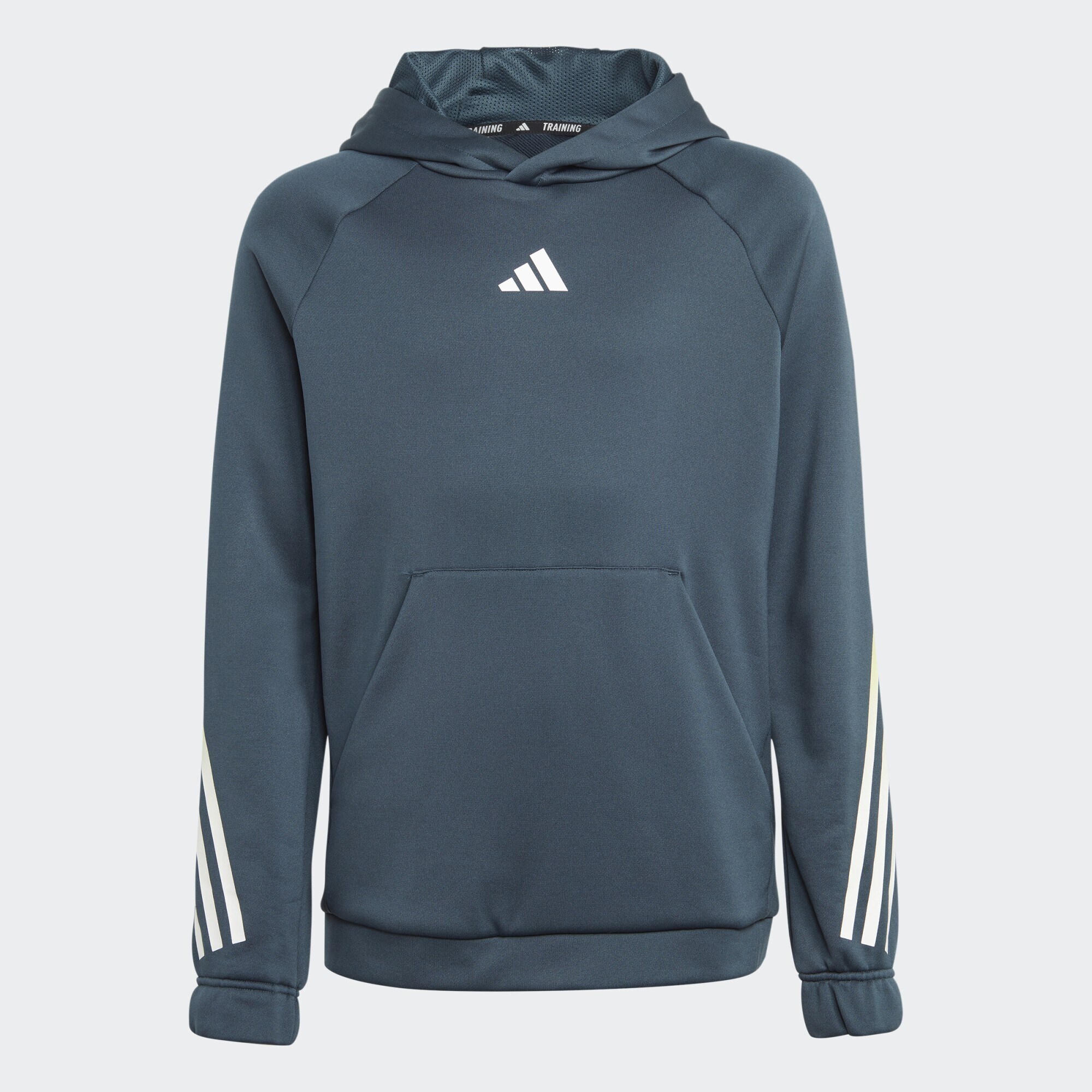 adidas Train Icons AEROREADY 3-Stripes Hoodie (9000150715_69530)
