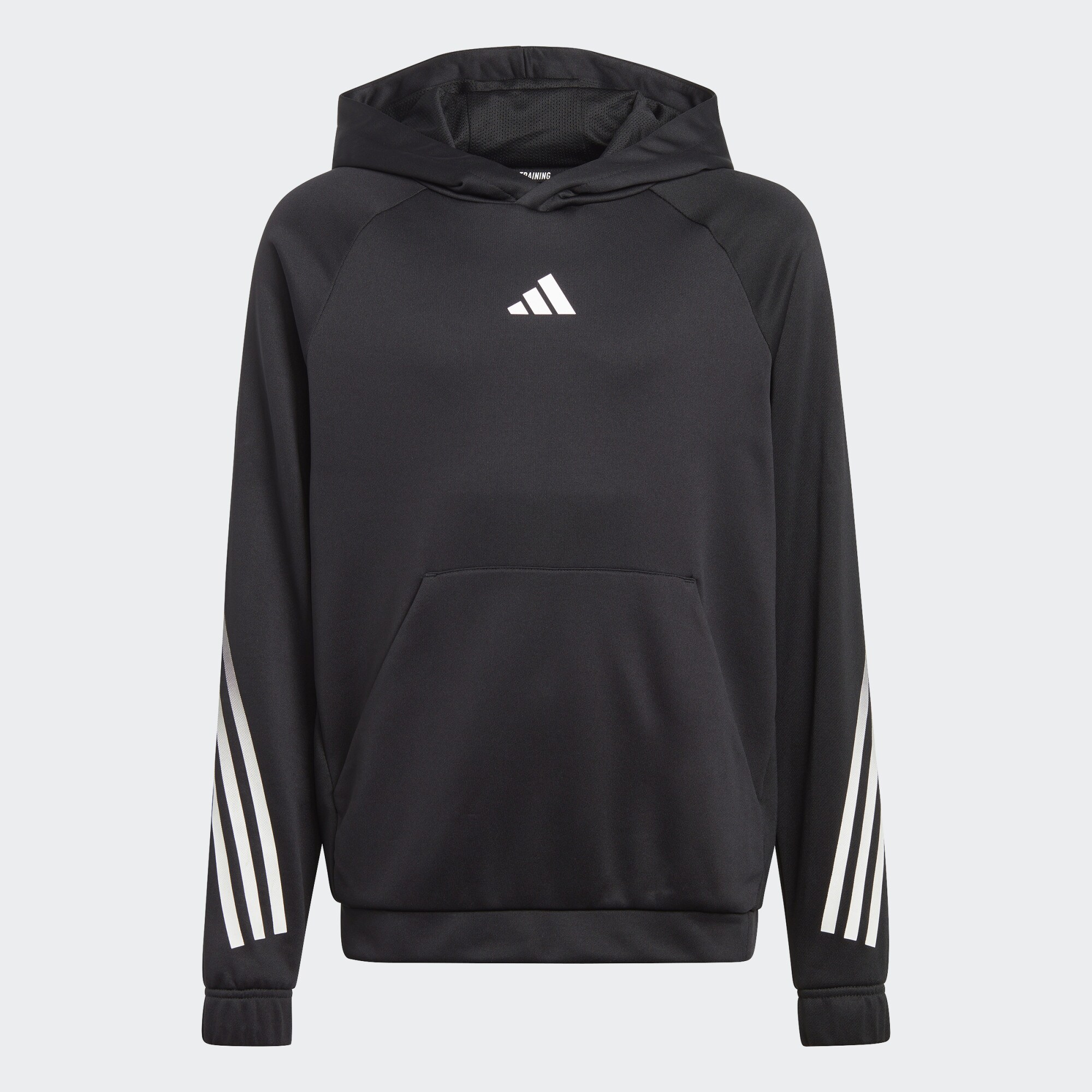 adidas Train Icons AEROREADY 3-Stripes Hoodie (9000150716_64262)