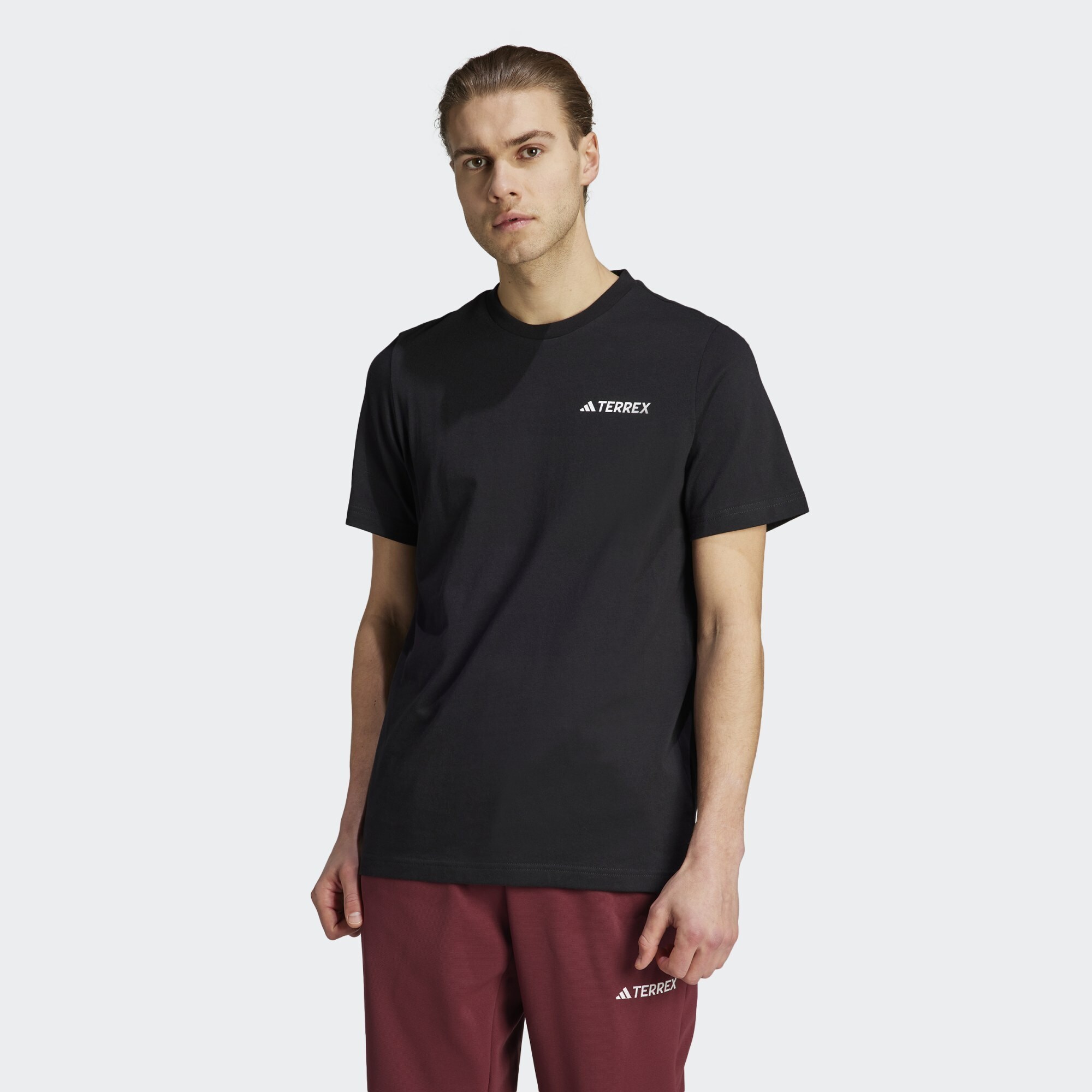 adidas Terrex Terrex Graphic Altitude Tee (9000155672_1469)