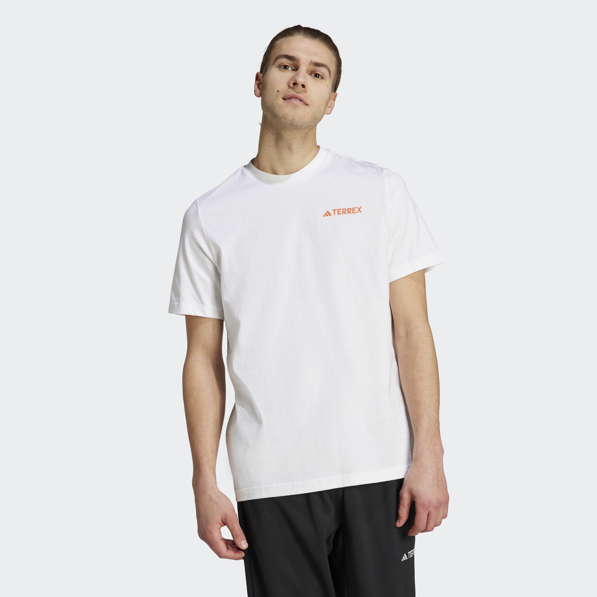 adidas Terrex Terrex Graphic Altitude Tee (9000155673_1539)
