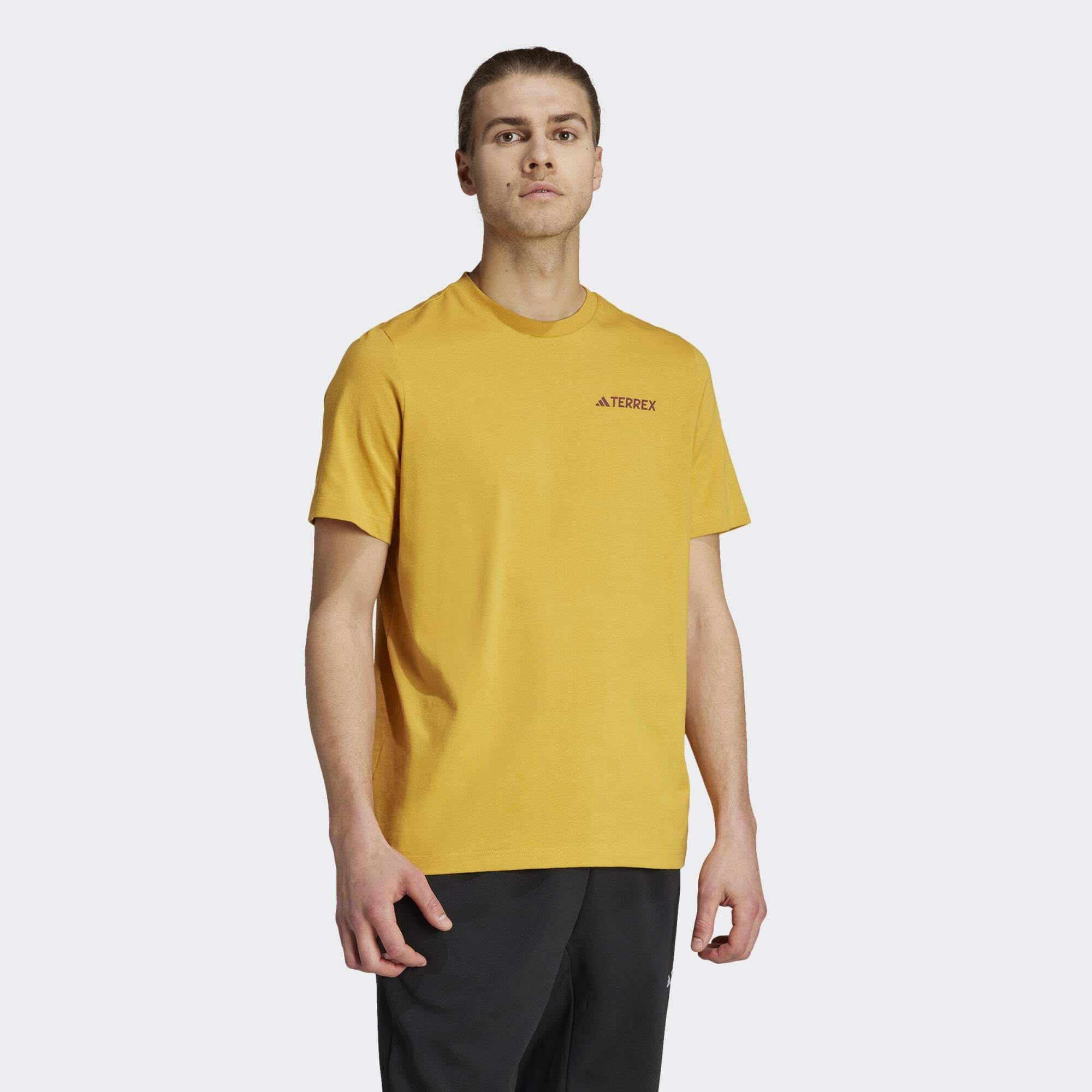 adidas Terrex Terrex Graphic Altitude Tee (9000155674_71022)