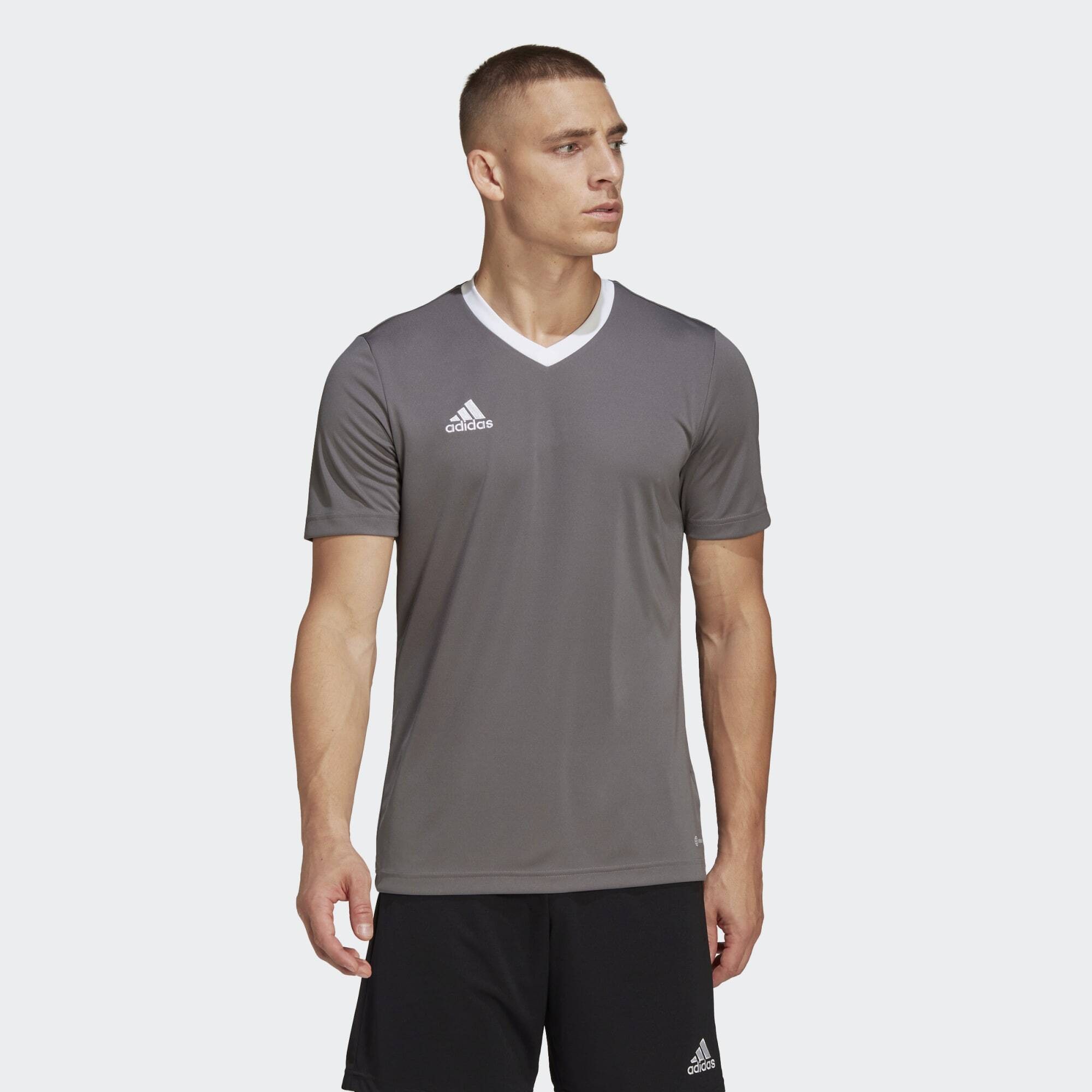 adidas Entrada 22 Jersey (9000155711_65880)