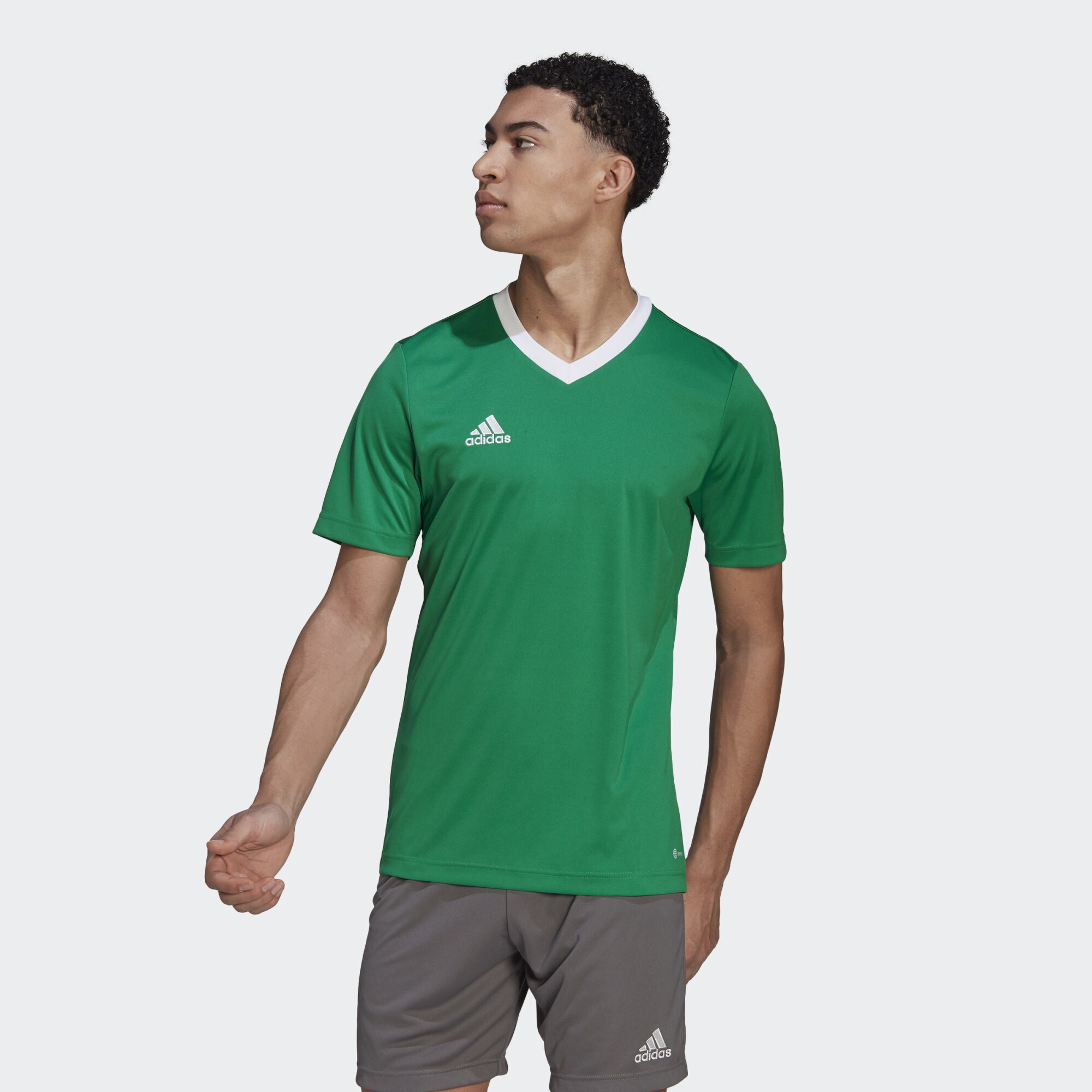 adidas Entrada 22 Jersey (9000155715_65882)