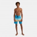 O'Neill Heat Stripe Line 19'' Men's Swimwear Bermuda