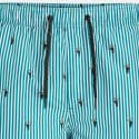 Jack & Jones Mini Stripe Men's Swim Shorts