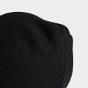 adidas Terrex Terrex COLD.RDY Merino Beanie