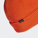 adidas Terrex Terrex COLD.RDY Merino Beanie