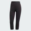 adidas Terrex Xperior Merino 260 Baselayer 3/4 Leggings