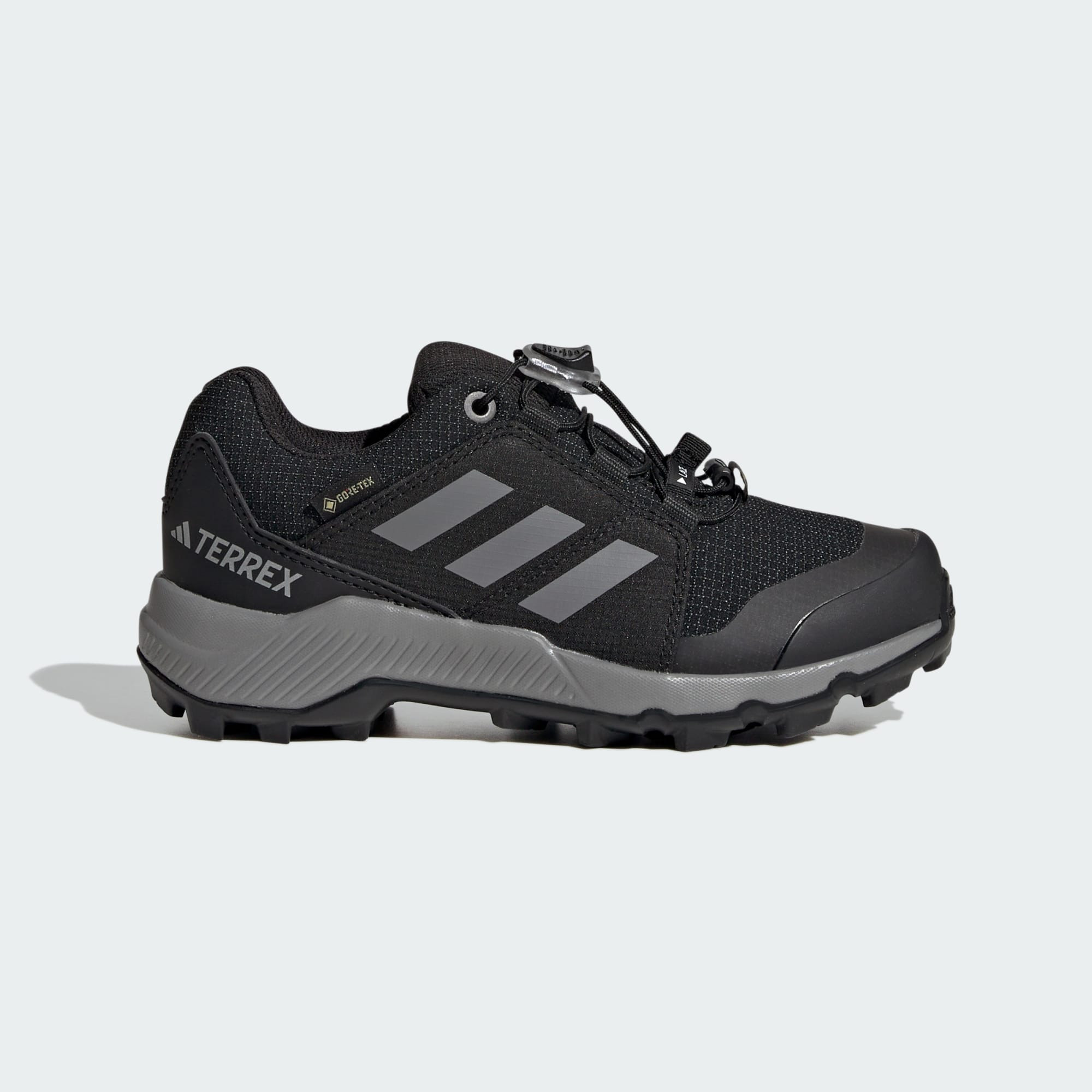 adidas Terrex Terrex Gore-Tex Hiking Shoes (9000161794_63370)