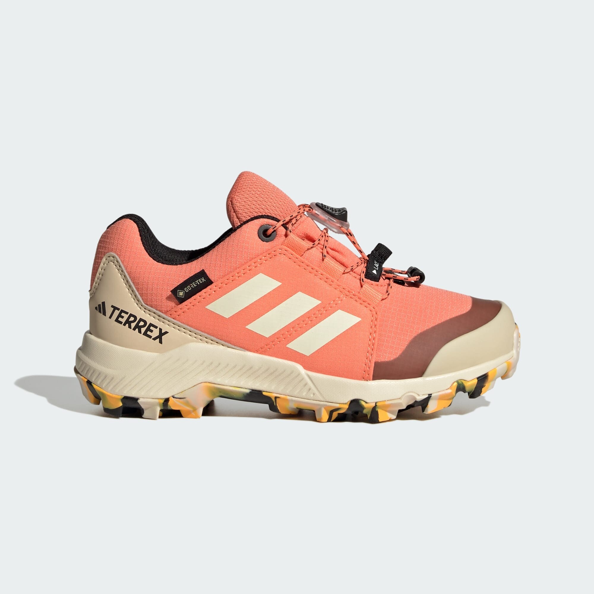 adidas Terrex Terrex Gore-Tex Hiking Shoes (9000161795_68144)