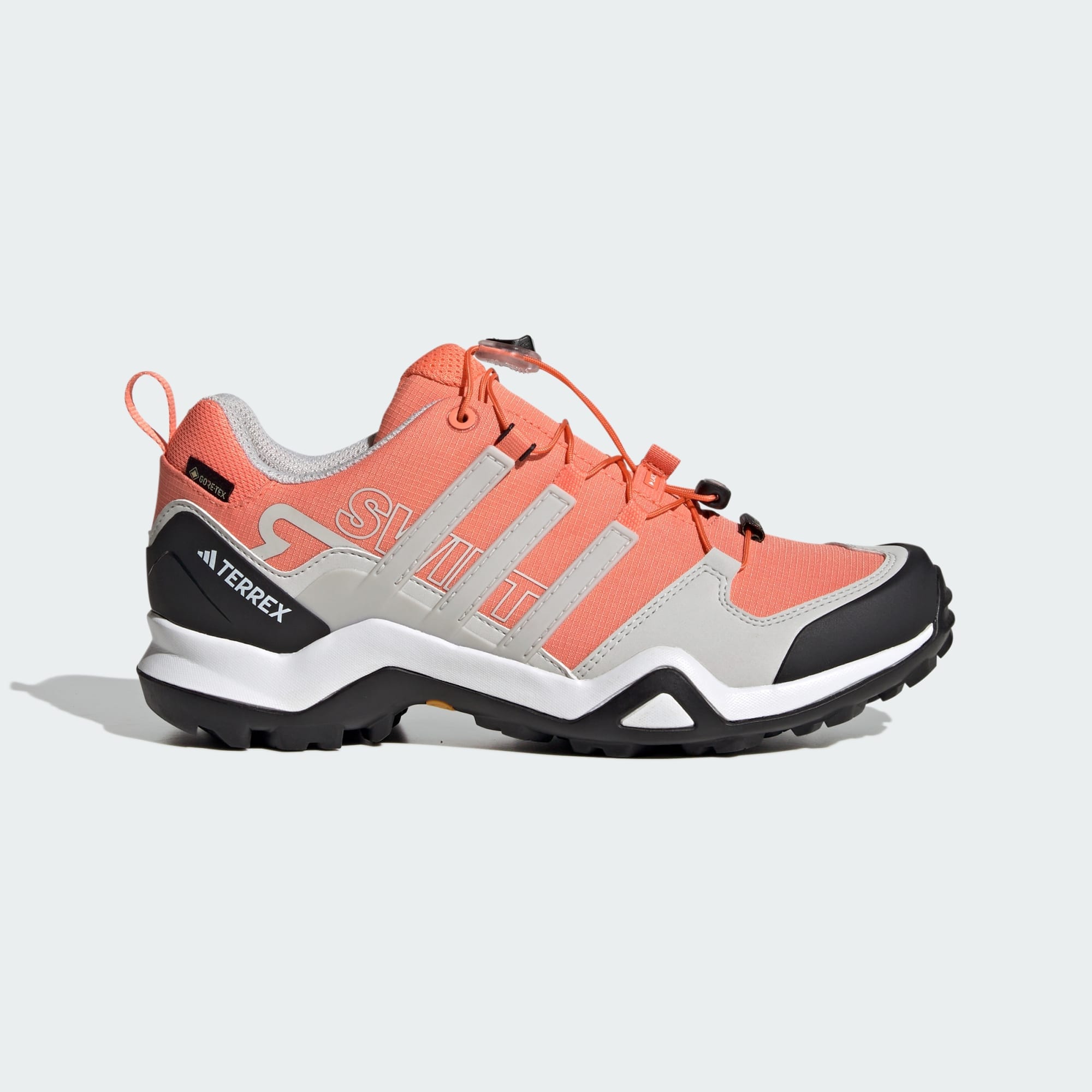 adidas Terrex Terrex Swift R2 Gore-Tex Hiking Shoes (9000161796_72253)