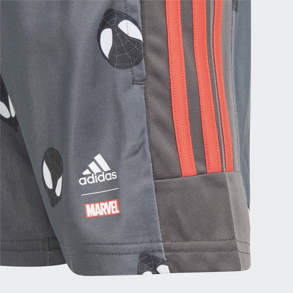 adidas Lb Dy Sm T Set