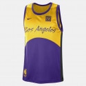 Nike LA Lakers Basketball Jersey
