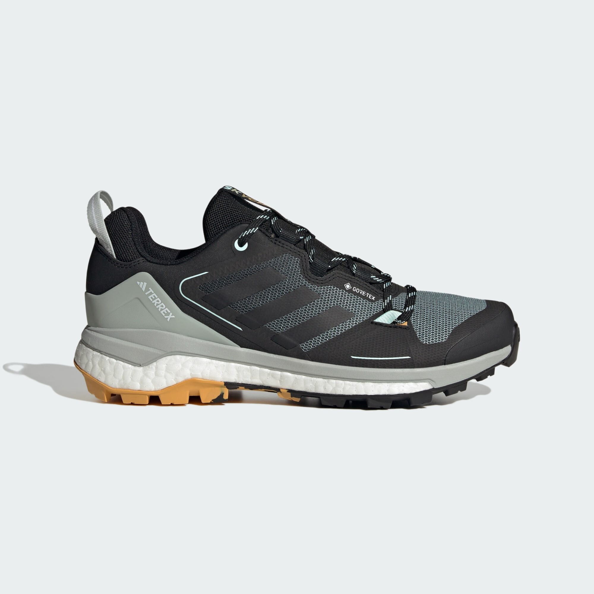 adidas Terrex Terrex Skychaser Gore-Tex Hiking Shoes 2.0 (9000165208_72246)