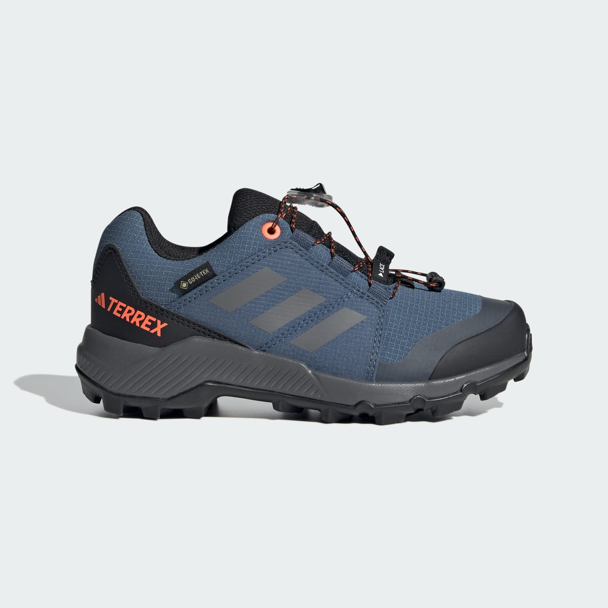 adidas Terrex Terrex Gore-Tex Hiking Shoes (9000165285_63381)