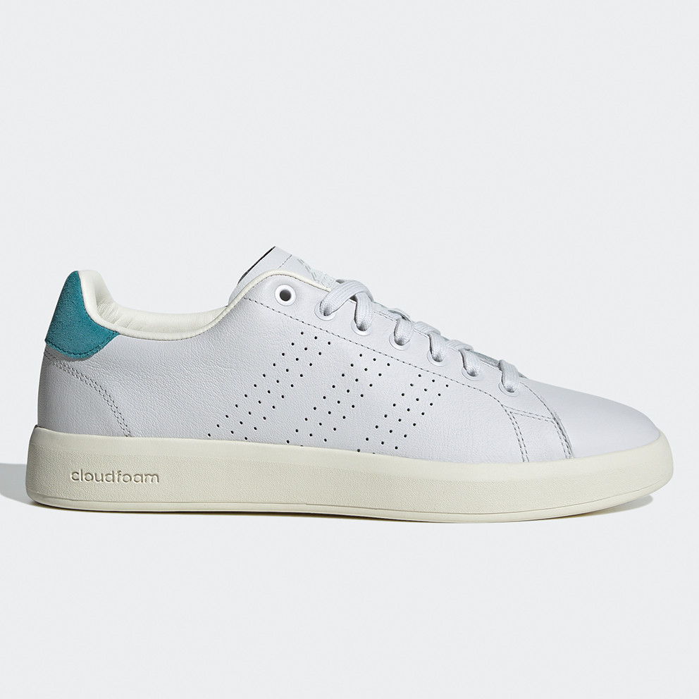 adidas Performance Advantage Premium Ανδρικά Παπούτσια Τένις (9000154124_70366)