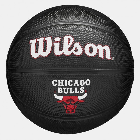 NBA Wilson Forge Mini Hoop - Black