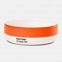 Pantone Bowl - Orange