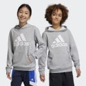 adidas sportswear Big Logo Essentials Cotton Hoodie