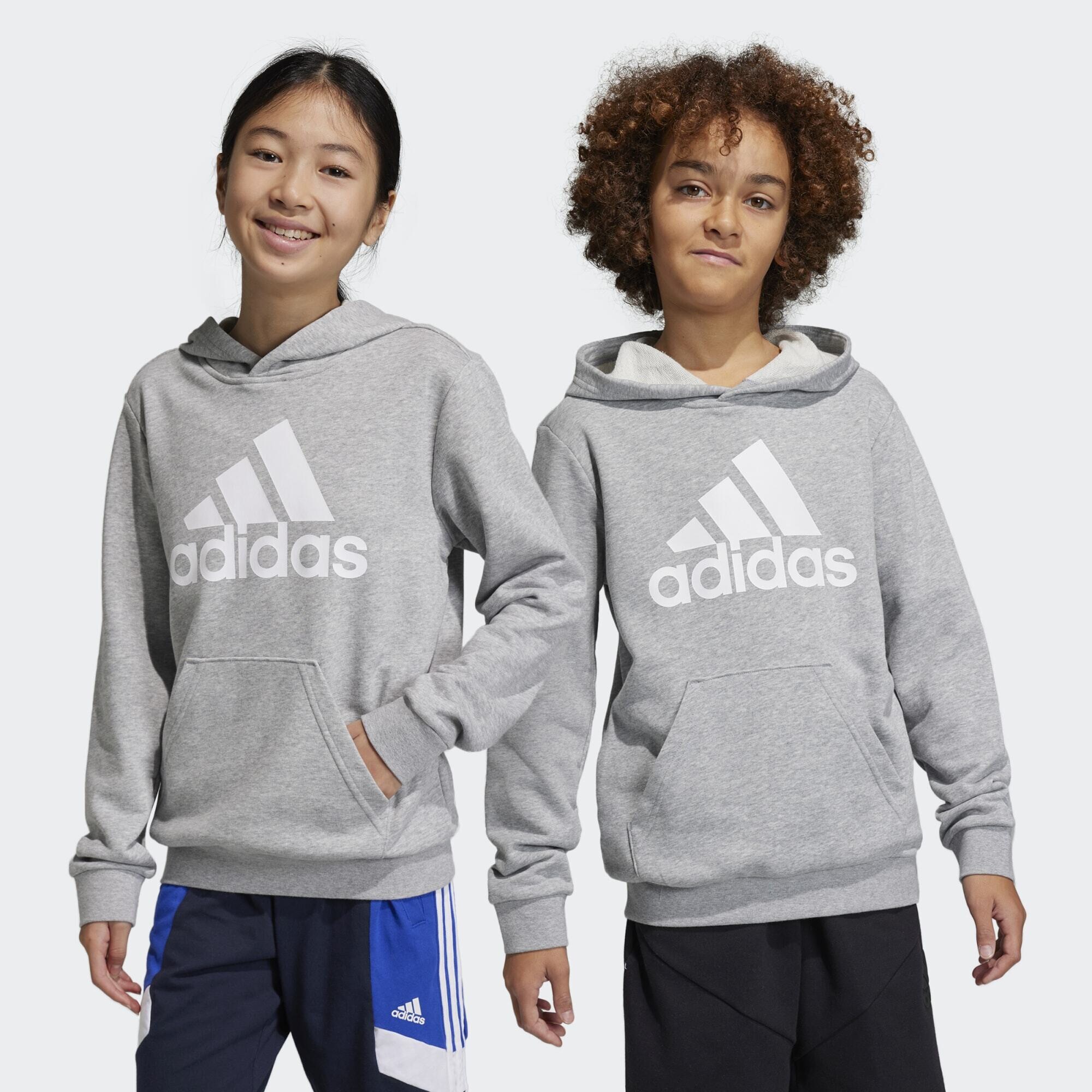 adidas sportswear Big Logo Essentials Cotton Hoodie (9000166058_63041)