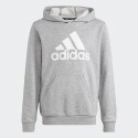 adidas sportswear Big Logo Essentials Cotton Hoodie