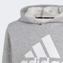 adidas sportswear Big Logo Essentials Cotton Hoodie