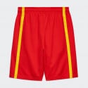 Nike (Road) Ισπανία Limited Men's Shorts