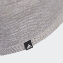 adidas Daily Beanie Lt