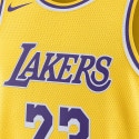 Nike Dri-FIT NBA LeBron James Los Angeles Lakers Swingman Icon Edition 2022/23 Μπασκετική Φανέλα