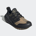 adidas Ultraboost Light Gtx Men's Running Shoes