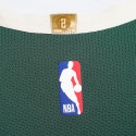 Nike Giannis NBA Authentic Antetokounmpo Milwaukee Bucks Icon Edition 2020 Μπασκετική Φανέλα