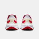 Nike Structure 25 Premium Ανδρικά Παπούτσια για Τρέξιμο