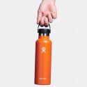 Hydro Flask Hydro Flask 21 Oz Standard Flex Cup