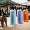 Hydro Flask 31 Oz Wide Flex Cap Mesa