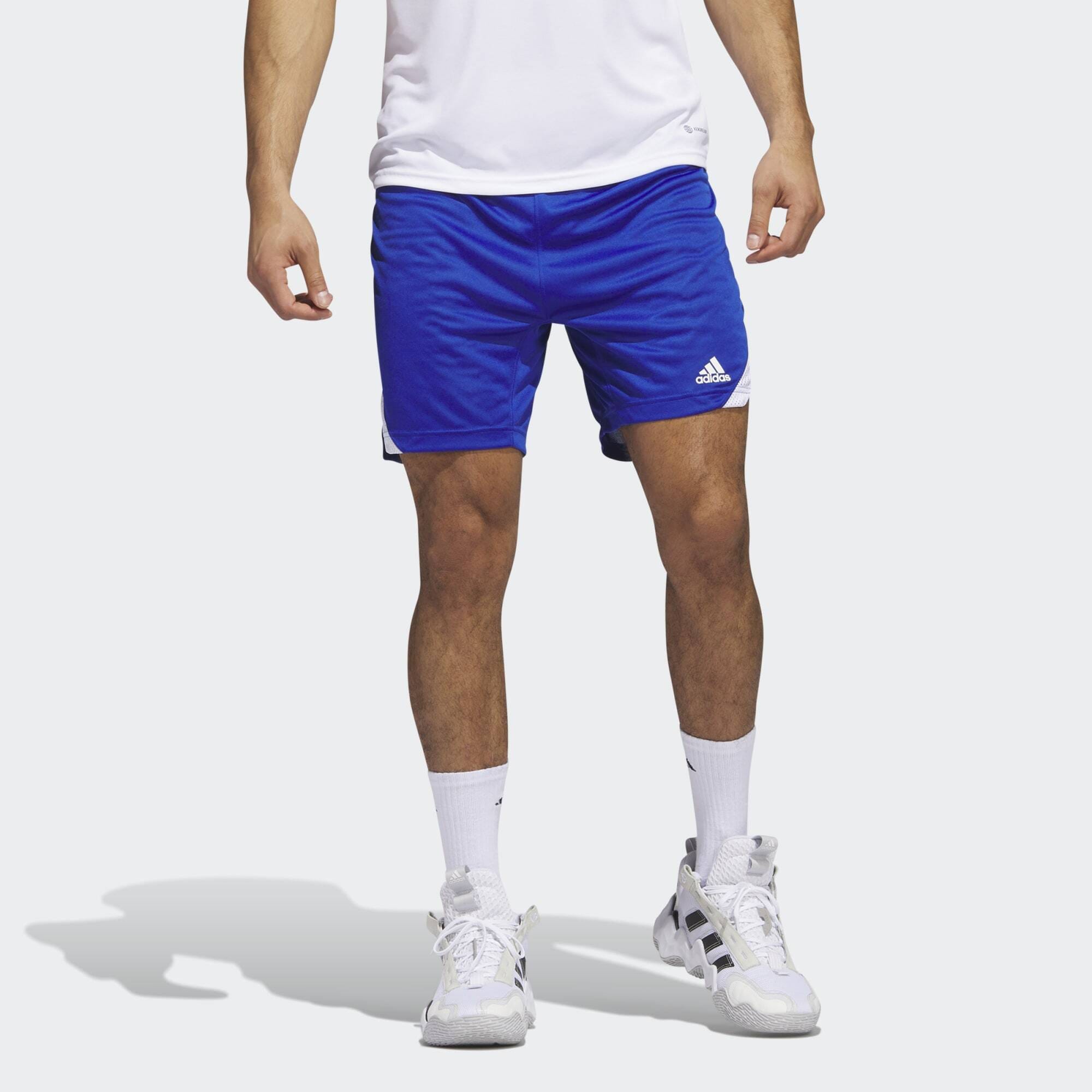 adidas adidas Icon Squad Shorts (9000176233_62937)
