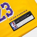 Nike Nba Kids La Lakers Lebron James Icon Edition Swingman Βρεφική Μπασκετική Φανέλα