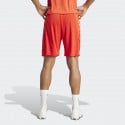 adidas FC Bayern Munich 23/2 Ανδρικό Σορτς