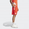 adidas FC Bayern Munich 23/2 Ανδρικό Σορτς