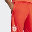 adidas FC Bayern Munich 23/2 Ανδρικό Σορτς