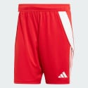 adidas Tiro 24 Shorts