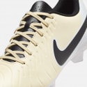 Nike Legend 10 Club Fg/Mg