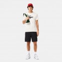 Lacoste Men's T-shirt