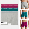 Calvin Klein Trunk 3Pk