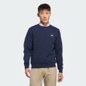 adidas-crewneck-sweatshirt