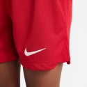 Nike Liverpool Fc 2023/24 Home