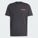 adidas Terrex Tx Mountain Tee