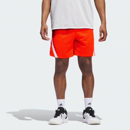 Adidas x plr bleu deals